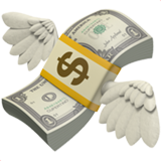 flying-money icon